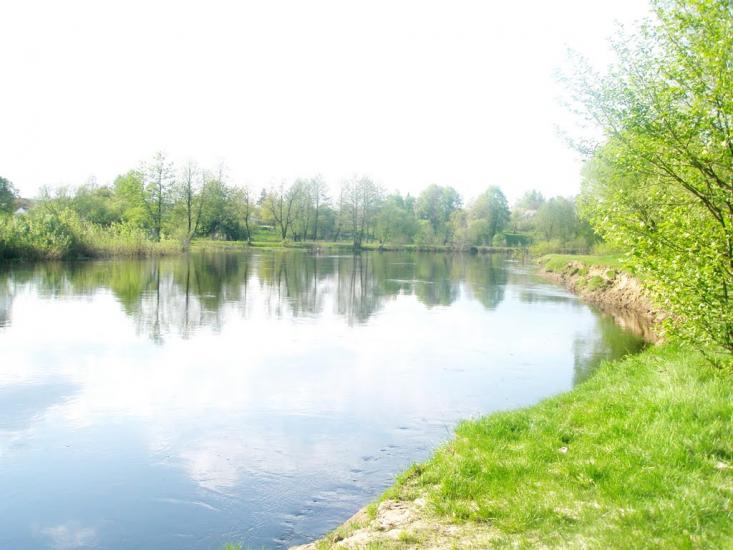 Олевськ з panoramio.com - Олевск