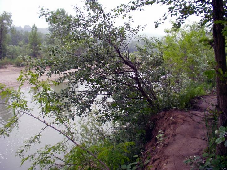 Біла з panoramio.com - Белая