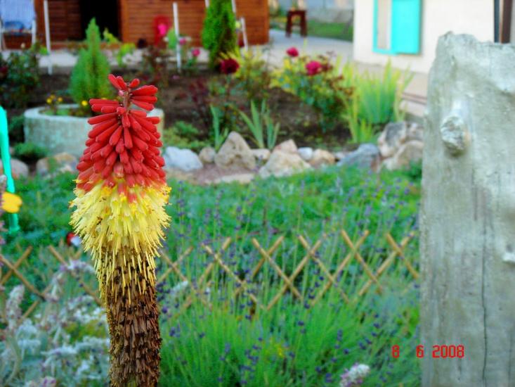 Кача з panoramio.com - Кача