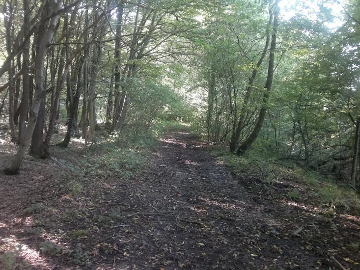 Ковиничі з panoramio.com - Ковиничі