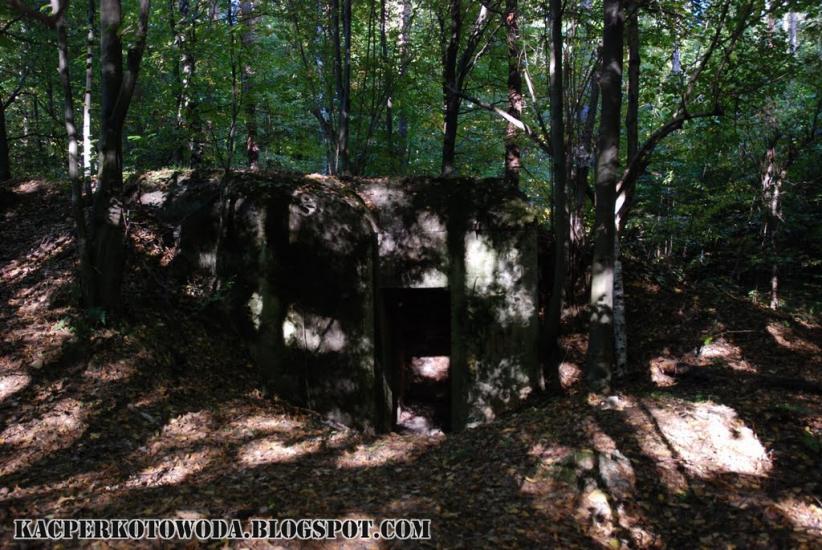 Дев'ятир з panoramio.com - Девятир