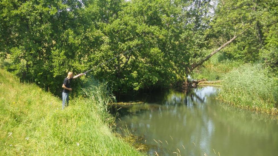 Машеве з panoramio.com - Машево