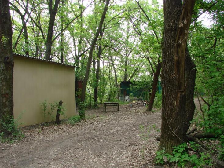 Кіровка з panoramio.com - Даниловка