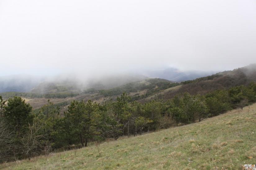 Земляничне з panoramio.com - Zemlyanychne