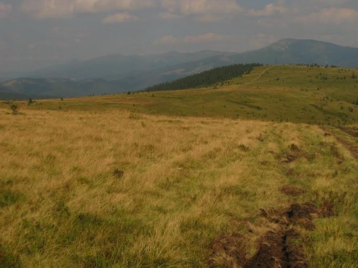 Буркут з panoramio.com - Буркут