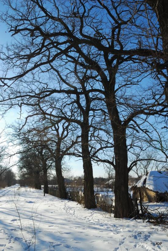 Маньківка з panoramio.com - Маньковка