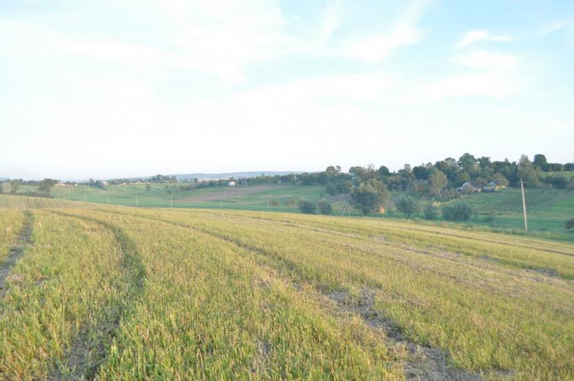 Заріцьк з panoramio.com - Зарецк