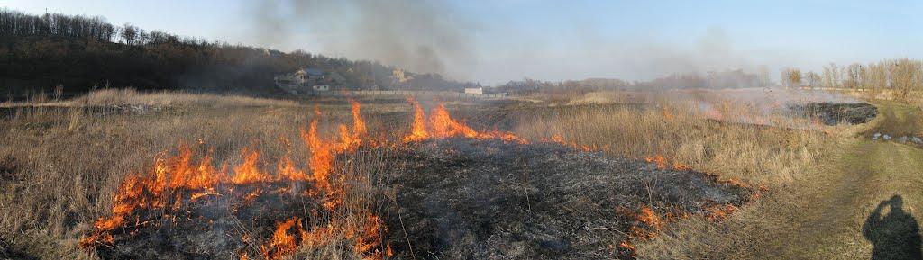 Задонецьке з panoramio.com - Задонецкое