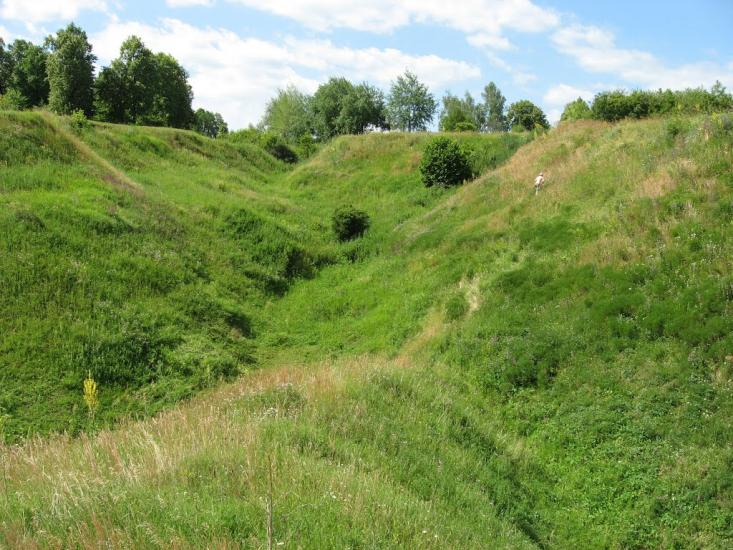 Вільшани з panoramio.com - Ольшаны