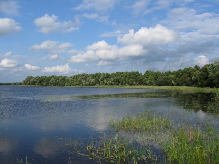 Мельники з panoramio.com - Мельники