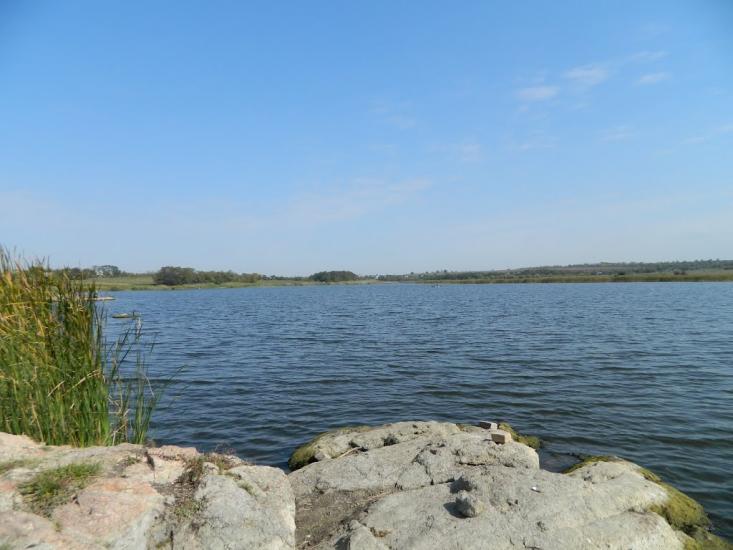 Чумаки з panoramio.com - Chumaky