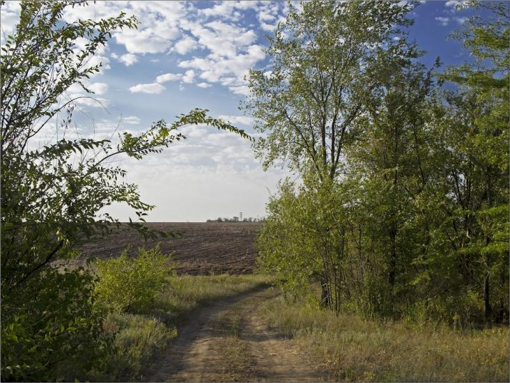Златоустівка з panoramio.com - Златоустівка