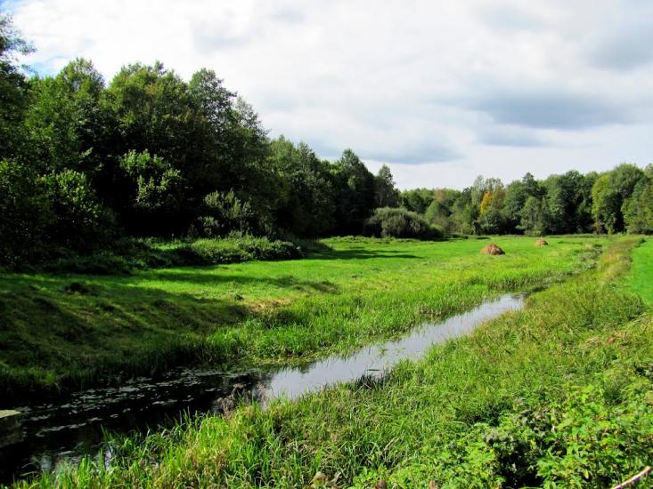 Ромейки з panoramio.com - Ромейки