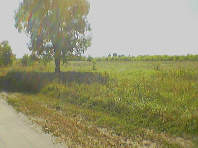 Велика Кошелівка з panoramio.com - Велика Кошелівка