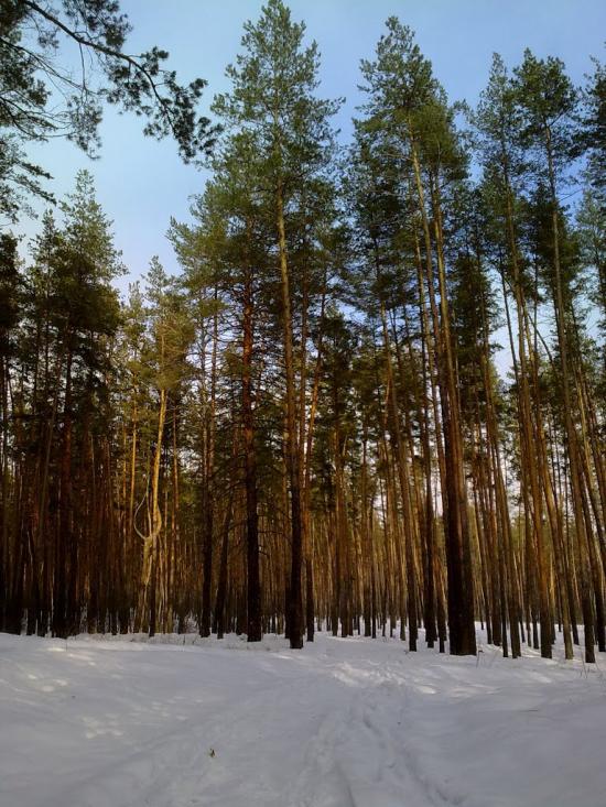 Ямпіль з panoramio.com - Ямпіль
