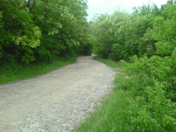 Жван з panoramio.com - Жван