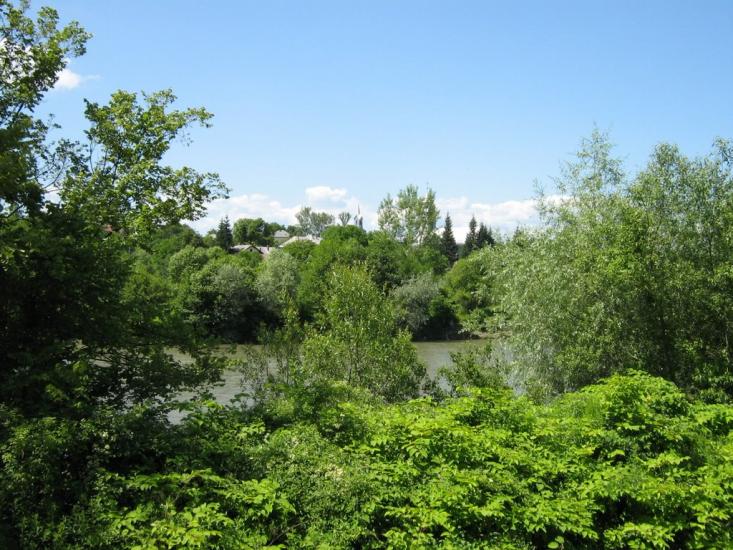 Луг з panoramio.com - Луг
