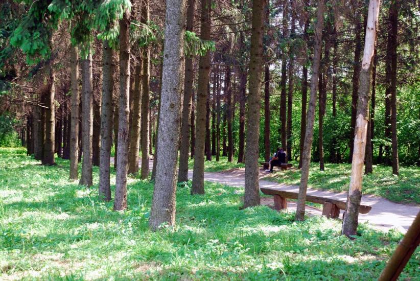 Краснокутськ з panoramio.com - Краснокутск