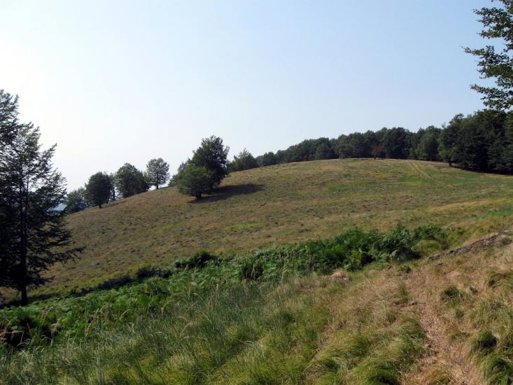 Вучкове з panoramio.com - Вучково