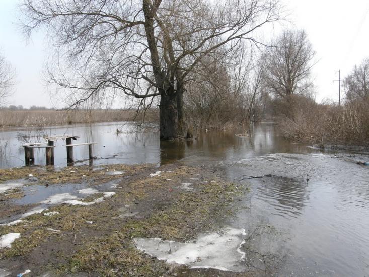 Оржиця з panoramio.com - Оржиця