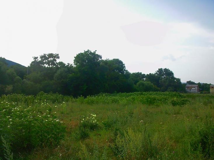 Краснолісся з panoramio.com - Краснолісся