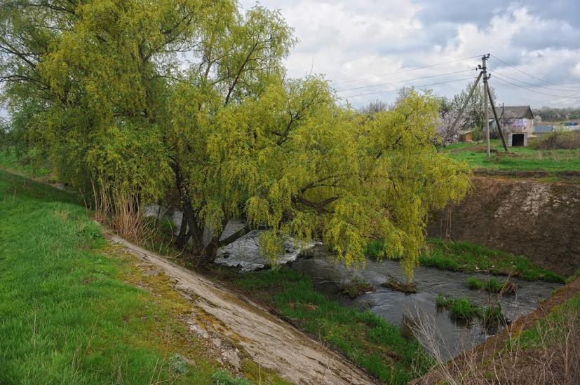 Верхньоторецьке з panoramio.com - Верхньоторецьке