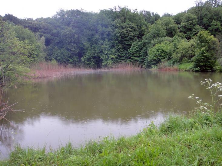 Грушківка з panoramio.com - Грушковка