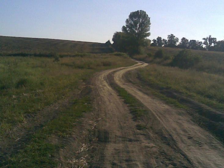 Веселий Кут з panoramio.com - Веселый Кут