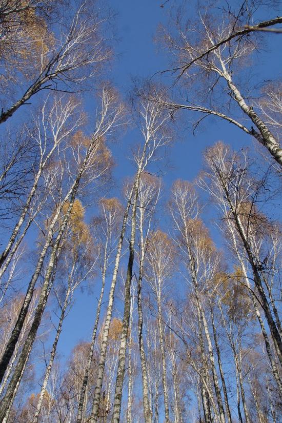 Отрохи з panoramio.com - Отрохи