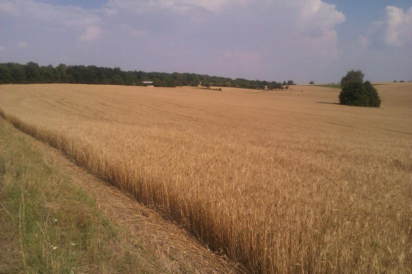 Заріцьк з panoramio.com - Zaritsk
