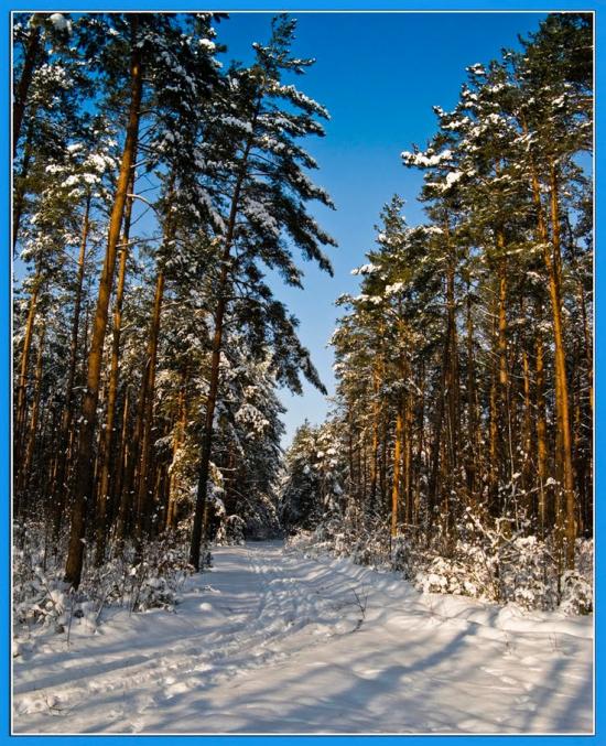 Тепениця з panoramio.com - Тепениця