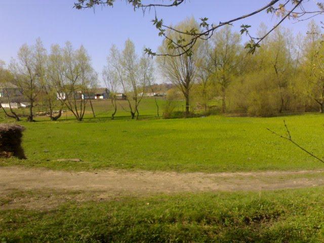 Горошків з panoramio.com - Горошков