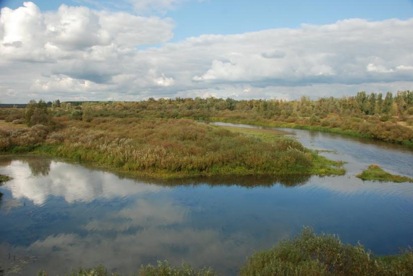 Максимовичі з panoramio.com - Максимовичи