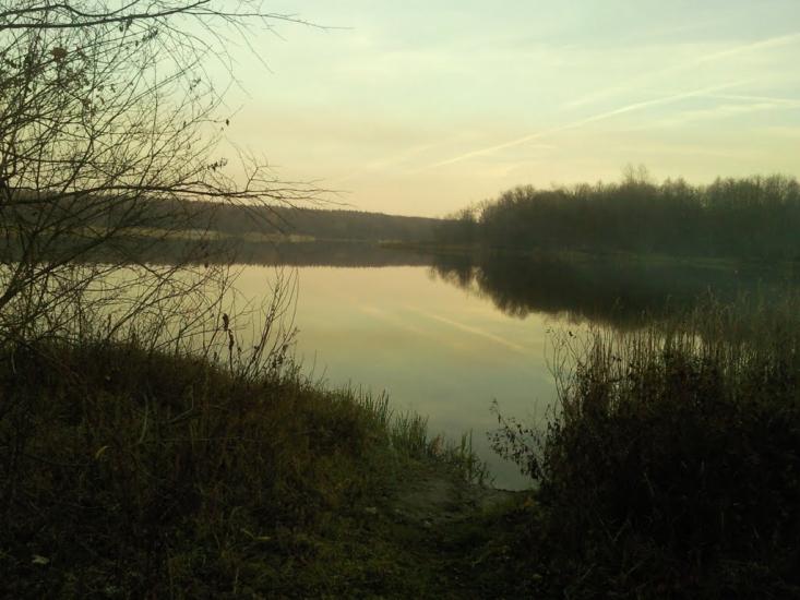 Лісники з panoramio.com - Лесники