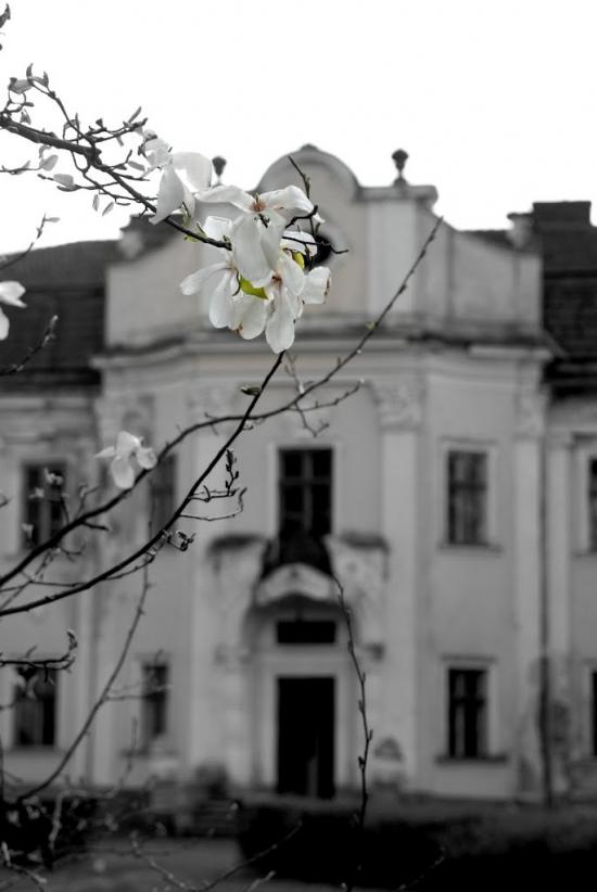 Оброшине з panoramio.com - Оброшино