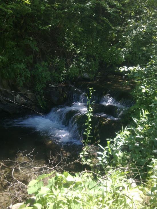 Рибник з panoramio.com - Рибник