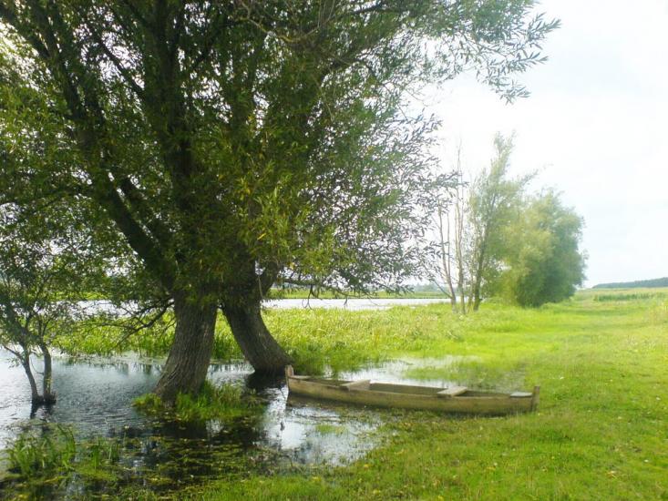 Вербень з panoramio.com - Вербень