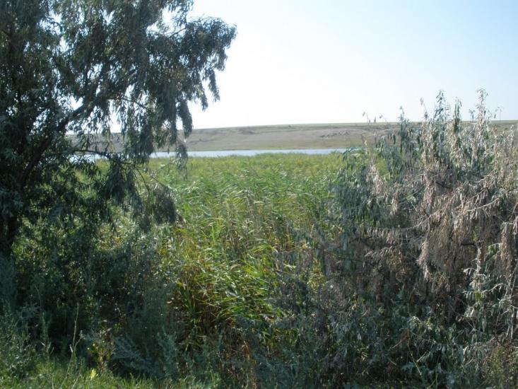 Афанасіївка з panoramio.com - Афанасьевка