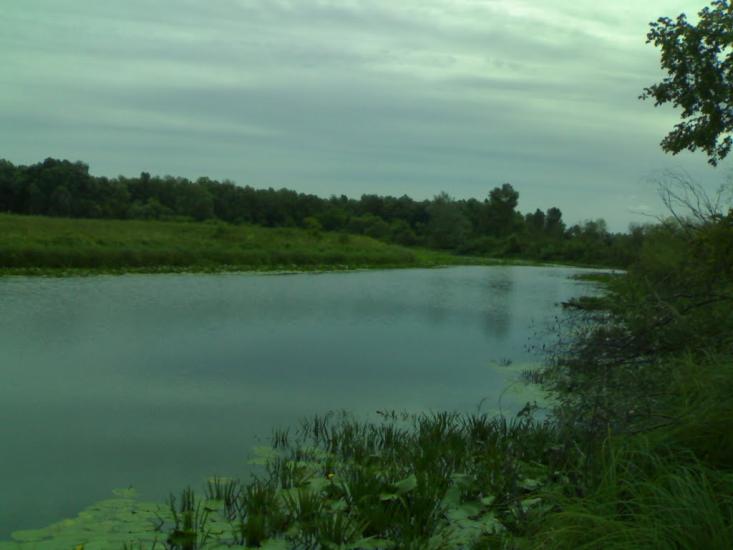 Соболівка з panoramio.com - Соболевка