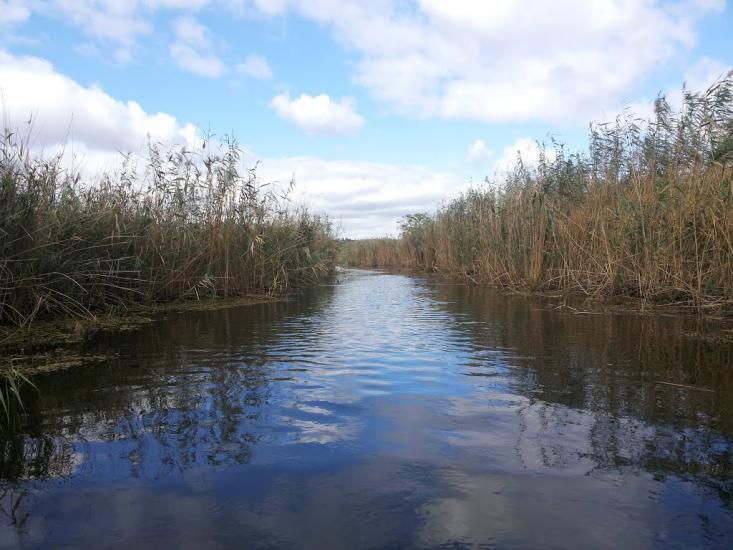 Шостакове з panoramio.com - Шостакове