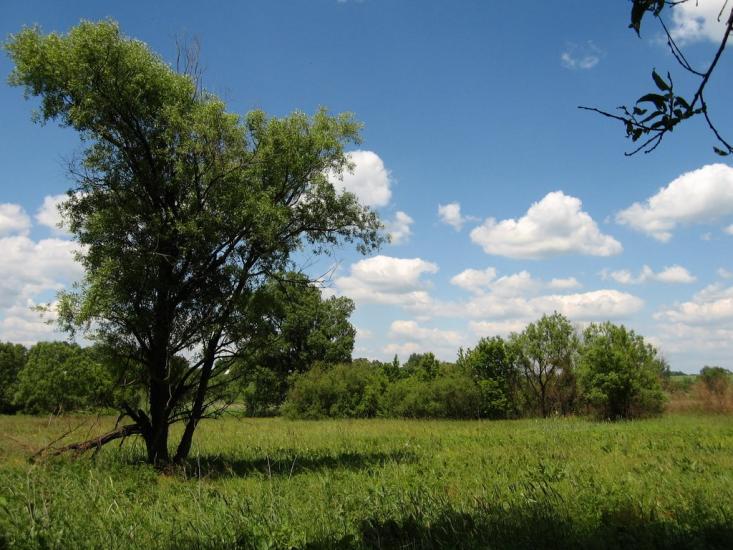 Нова Семенівка з panoramio.com - Новая Семеновка