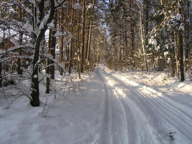 Малин з panoramio.com - Малин