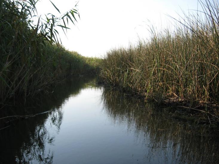 Яськи з panoramio.com - Jasky