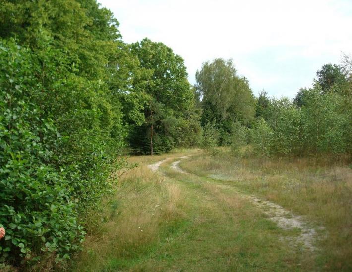 Хрипськ з panoramio.com - Хрипск