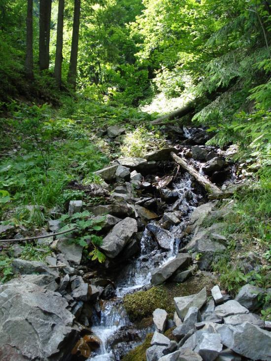 Синевир з panoramio.com - Синевир