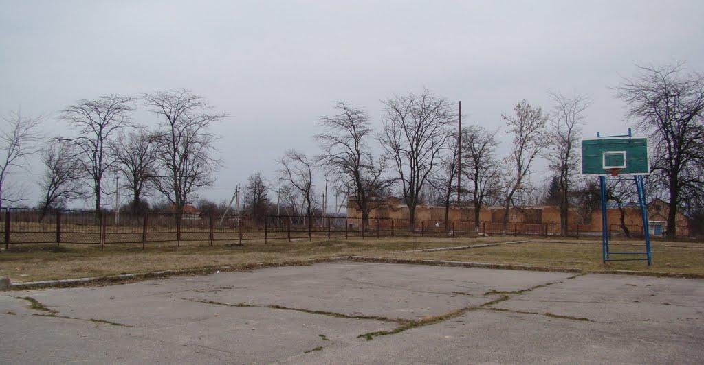 Несваткове з panoramio.com - Несватково