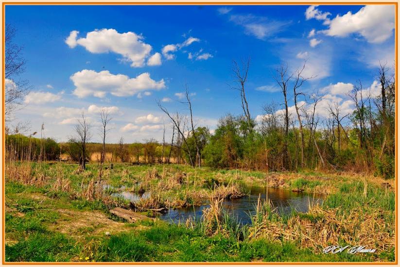 Серебрянка з panoramio.com - Serebryanka