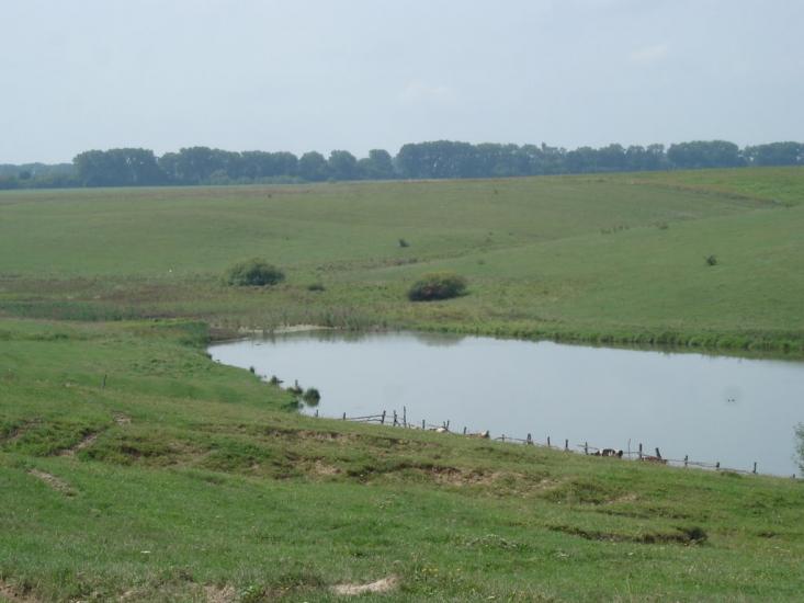 Безіменне з panoramio.com - Bezimenne