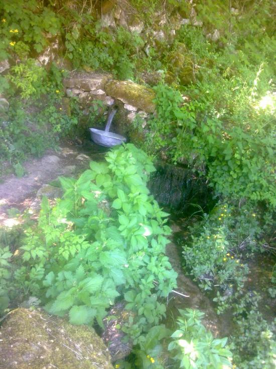 Супрунківці з panoramio.com - Супрунківці