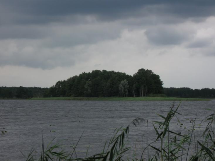 Мельники з panoramio.com - Мельники